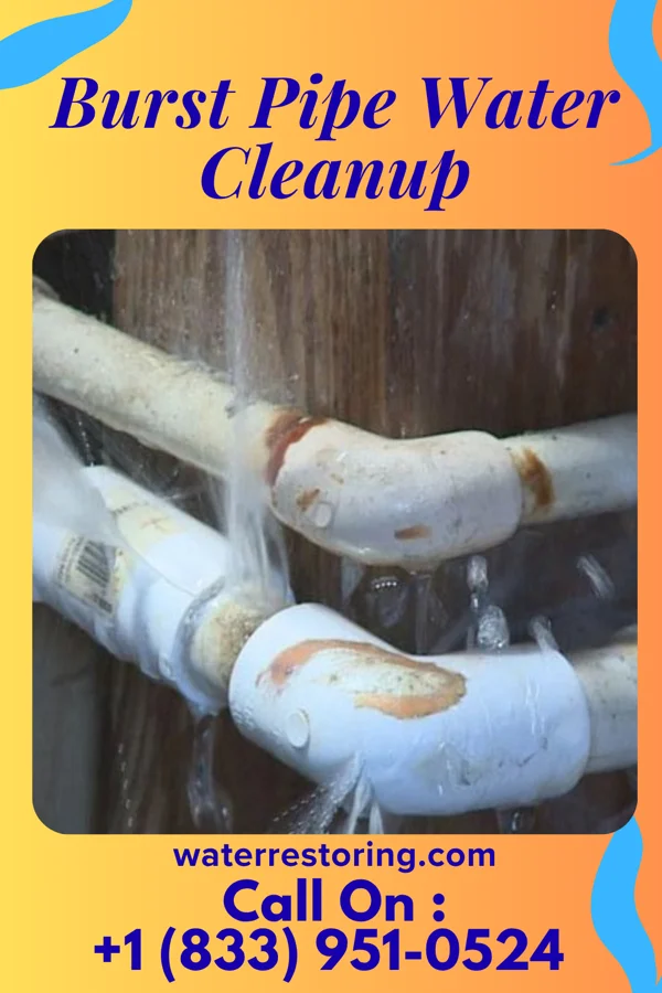 Burst Pipe Water Cleanup in Wrightstown, WI