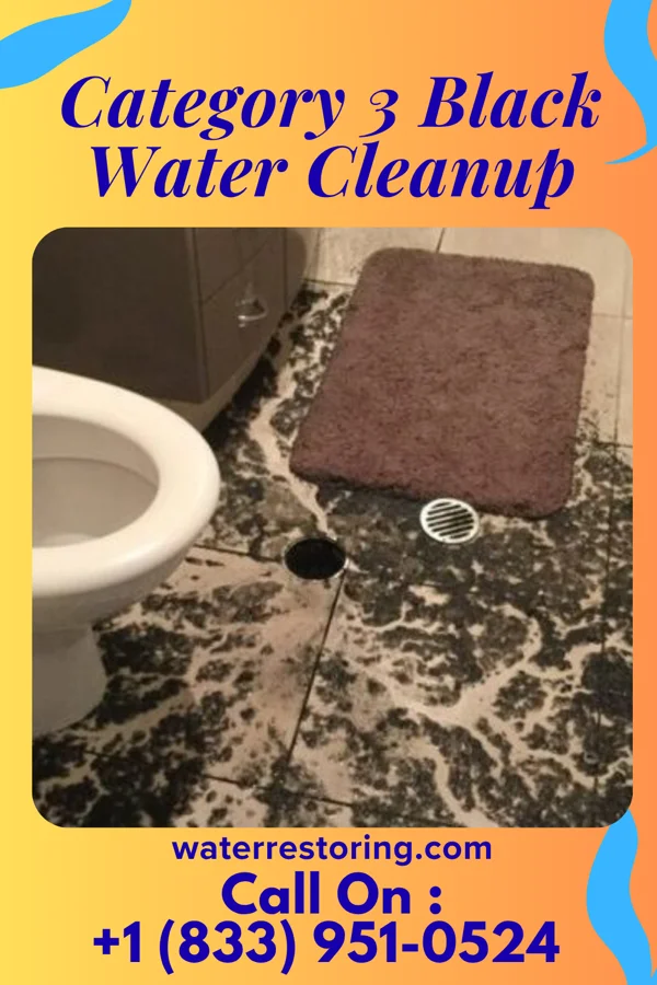 Category 3 Black Water Cleanup in Wrightstown, WI