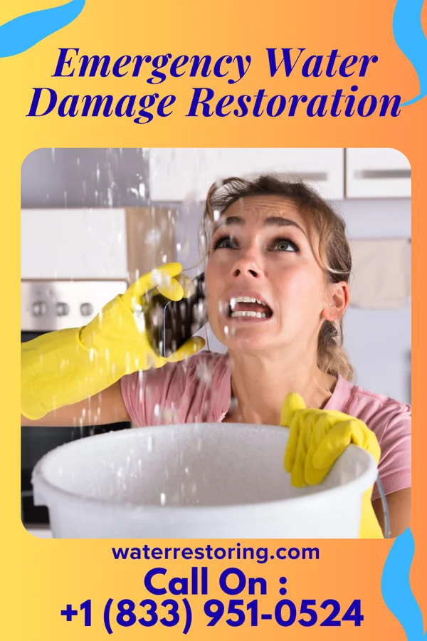 Emergency Water Damage Restoration in Wrightstown, WI