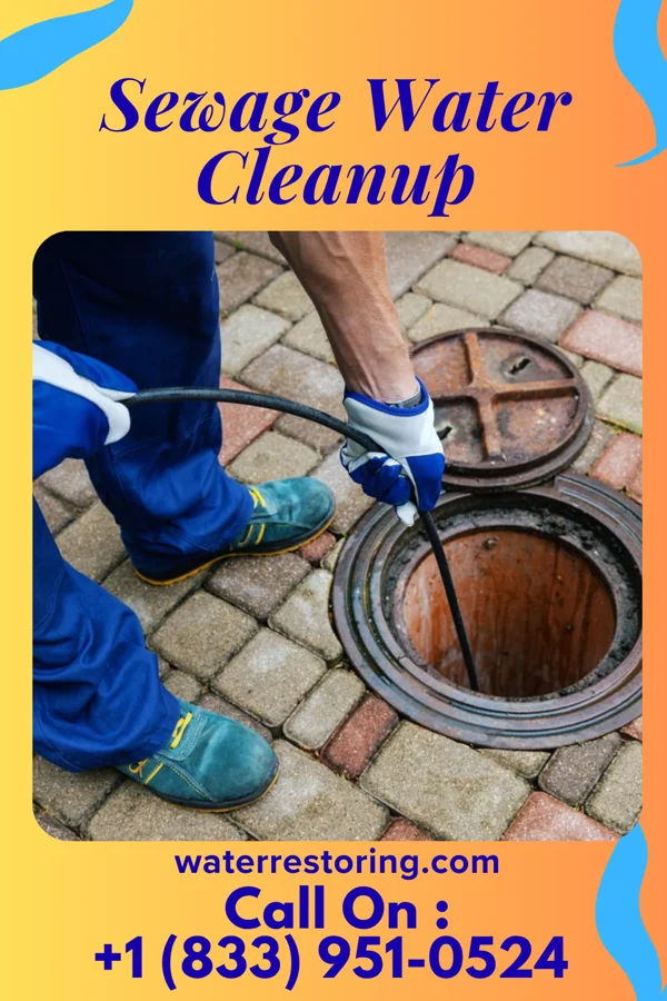 Sewage Water Cleanup in Wrightstown, WI
